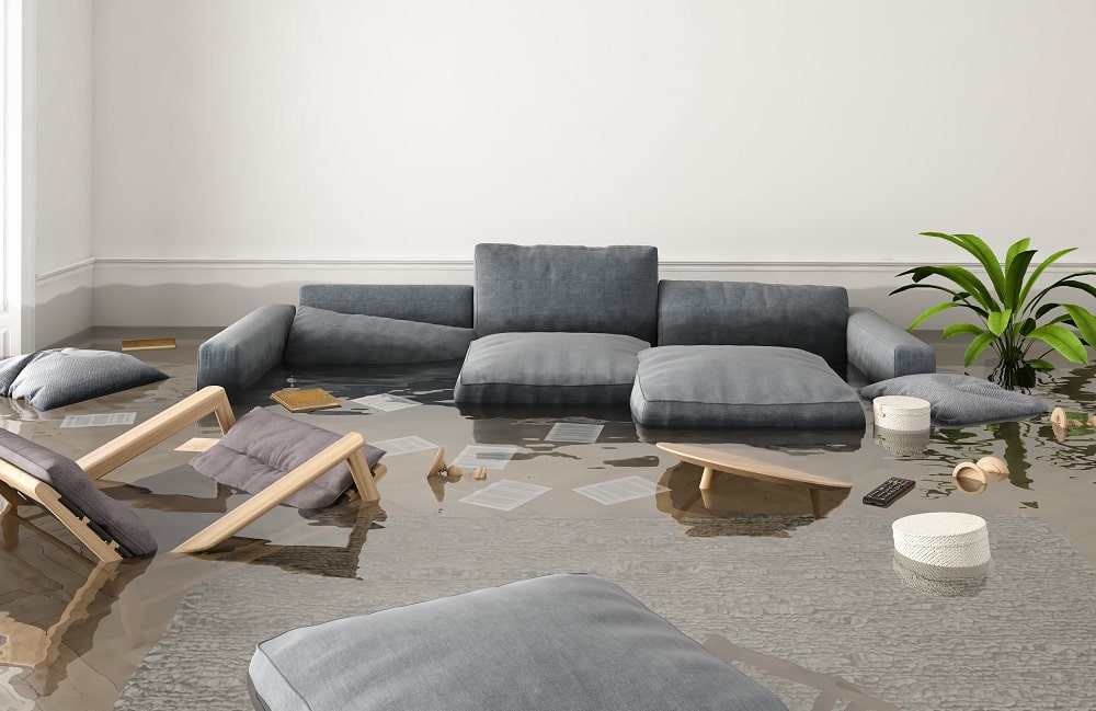 article header image