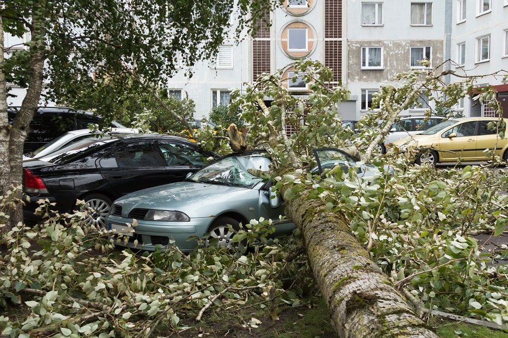 article header image