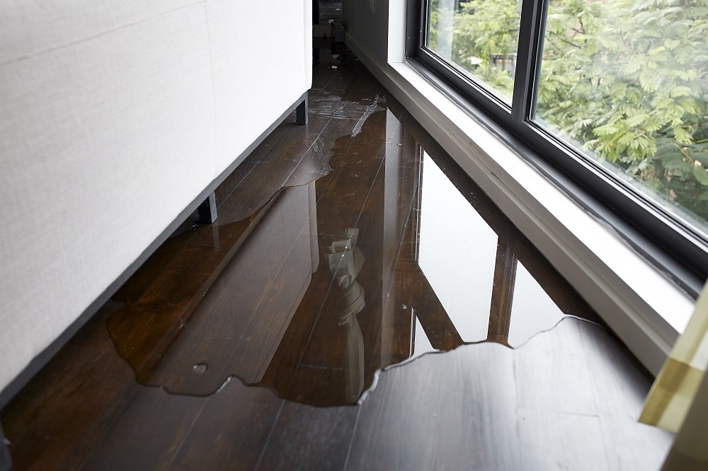 condo-insurance-and-water-damage-what-you-should-know