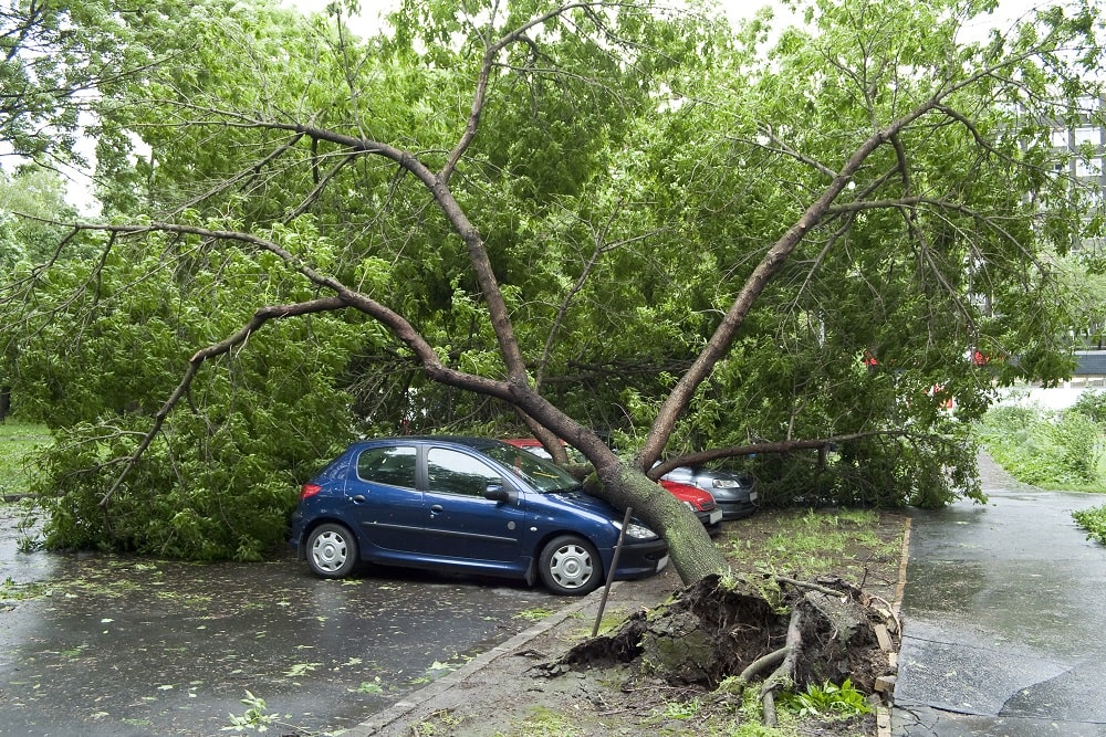 Does Car Insurance Cover Natural Disasters 