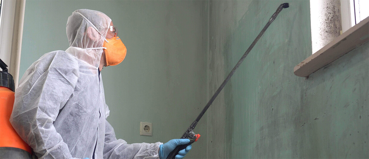 Does Homeowners Insurance Cover Mold?