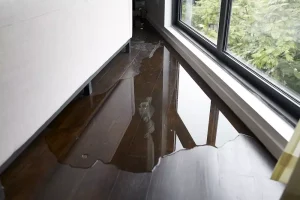 Condo Insurance and Water Damage: What You Should Know