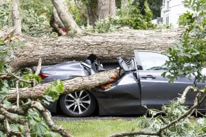 Does Car Insurance Cover Hurricane Damage?
