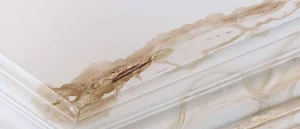 Does Homeowners Insurance Cover Roof Leaks?