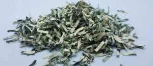 Does Renters Insurance Cover Cash?