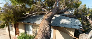 How to File a Home Insurance Claim