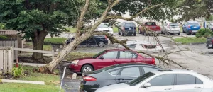 Indiana State Minimum Car Insurance Laws and Requirements