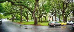 SR-22 Insurance in Georgia Explained