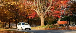 SR-22 Insurance in Michigan Explained