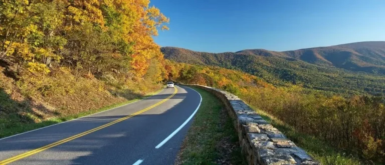 The Best Car Insurance in Virginia (2025)