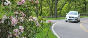 Virginia Personal Injury Protection (PIP) Coverage Explained