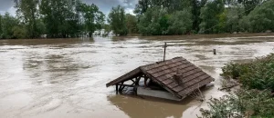 What Is a Preferred Risk Policy from FEMA?