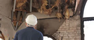 What Is an Insurance Claims Adjuster?