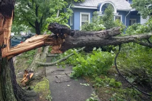 What You Can Expect After Filing a Home Insurance Claim